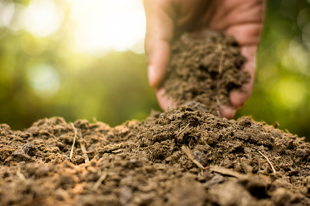 肥料と肥培管理へのこだわり