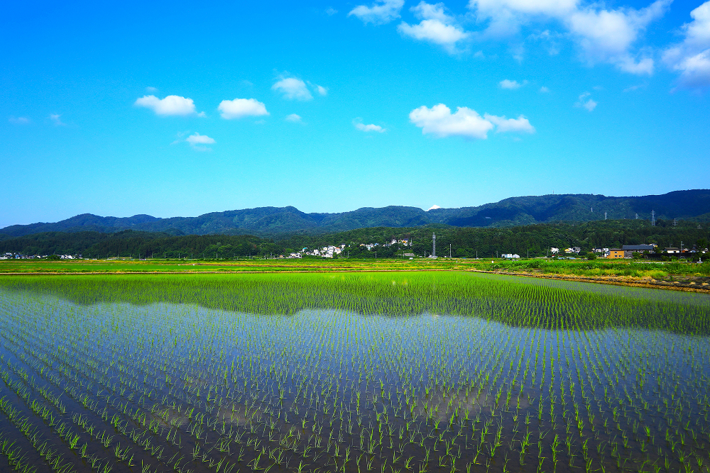 水源と環境へのこだわり
